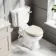Hudson Traditional Close Coupled Toilet With Chalk White Wooden Seat