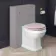 Hudson Traditional Back To Wall Toilet With Cashmere Pink Wooden Seat - Brushed Brass Hinges