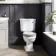 Hudson Traditional Close Coupled Toilet With Cotton White Wooden Seat