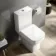 Chicago Rimless Close Coupled Toilet With Soft Close Seat