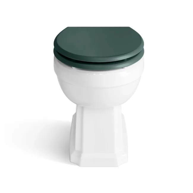 Hudson Traditional Back To Wall Toilet With Midnight Green Wooden Seat