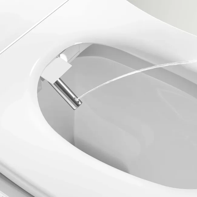 Denver Rimless Fully Back to Wall Close Coupled Toilet With Smart Bidet Seat