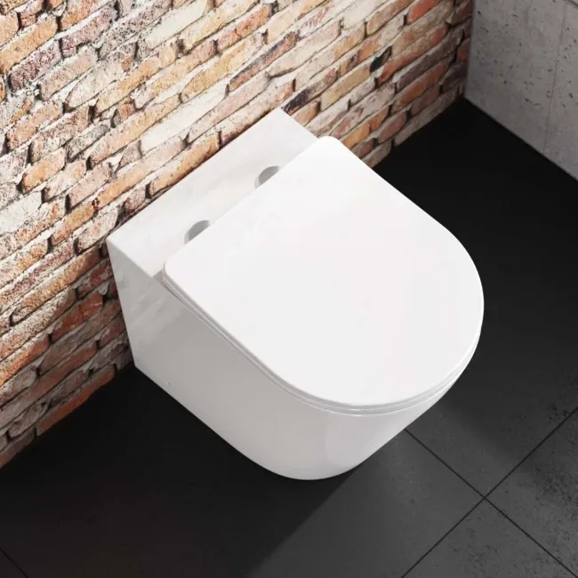 Boston Rimless Back To Wall Toilet With Premium Soft Close Slim Seat