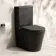 Loma Matt Black Rimless Fully Back To Wall Close Coupled Toilet With Premium Soft Close Slim Seat