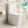 Loma Matt White Rimless Fully Back To Wall Close Coupled Toilet With Premium Soft Close Seat