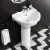 Opel Pedestal Basin 500mm