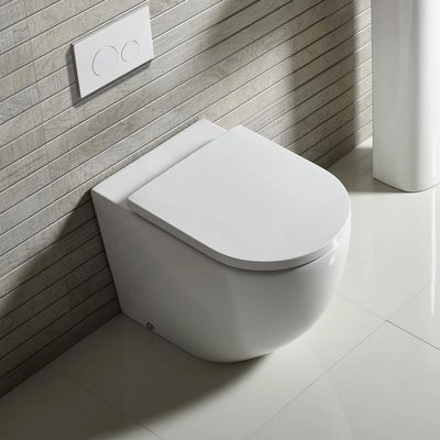 Back To Wall Toilets