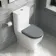 Kansas Traditional Rimless Close Coupled Toilet With Dove Grey Wooden Seat