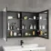 Selma Battery Operated Matt Black Illuminated LED Mirror Cabinet 700x1000mm