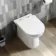 Aruba Rimless Back To Wall Toilet With Soft Close Seat