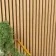 Trepanel® Oak Acoustic Wood Wall Panels