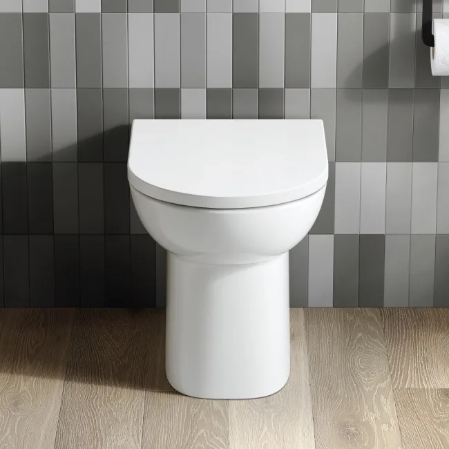 Aruba Rimless Back To Wall Toilet With Soft Close Seat