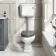 Hudson Traditional Toilet With Low-Level Cistern and Dove Grey Wooden Seat