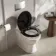 Alma Traditional Rimless Back To Wall Toilet With Gloss Black Wooden Soft Close Seat