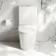 Loma Rimless Fully Back To Wall Close Coupled Toilet With Premium Soft Close Slim Seat
