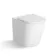 Loma Rimless Back To Wall Toilet With Premium Soft Close Seat