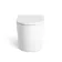 Loma Rimless Back To Wall Toilet With Premium Soft Close Seat