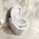 Loma Matt White Rimless Back To Wall Toilet With Premium Soft Close Seat