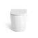 Loma Matt White Rimless Back To Wall Toilet With Premium Soft Close Seat