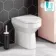 Denver Rimless Comfort Height Back To Wall Toilet With Premium Soft Close Seat