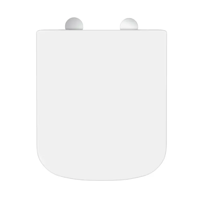 Atlanta Soft Close Seat for Comfort Height Back To Wall Toilet