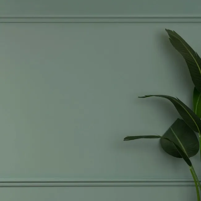 Trepanel Style® Paintable Swan Neck Moulded PS Wall Beading/Dado