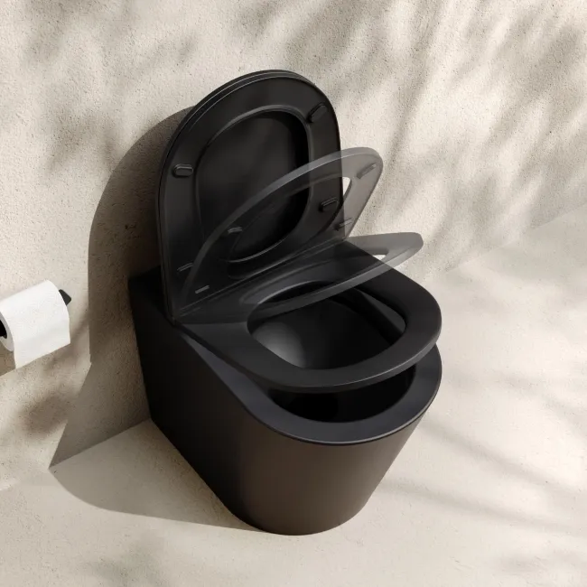 Loma Matt Black Rimless Back To Wall Toilet With Premium Soft Close Slim Seat