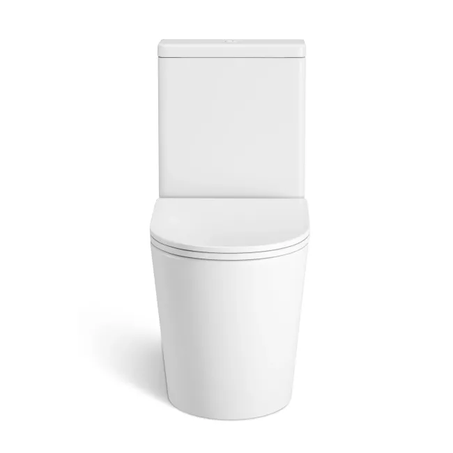 Loma Matt White Rimless Fully Back To Wall Close Coupled Toilet With Premium Soft Close Slim Seat