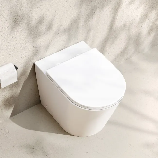 Loma Matt White Rimless Back To Wall Toilet With Premium Soft Close Slim Seat