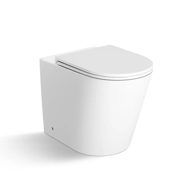 Loma Matt White Rimless Back To Wall Toilet With Premium Soft Close Slim Seat
