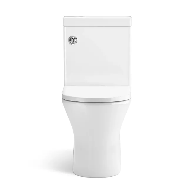 Brooklyn 2-In-1 Combined Wash Basin & Rimless Toilet With Soft Close Seat