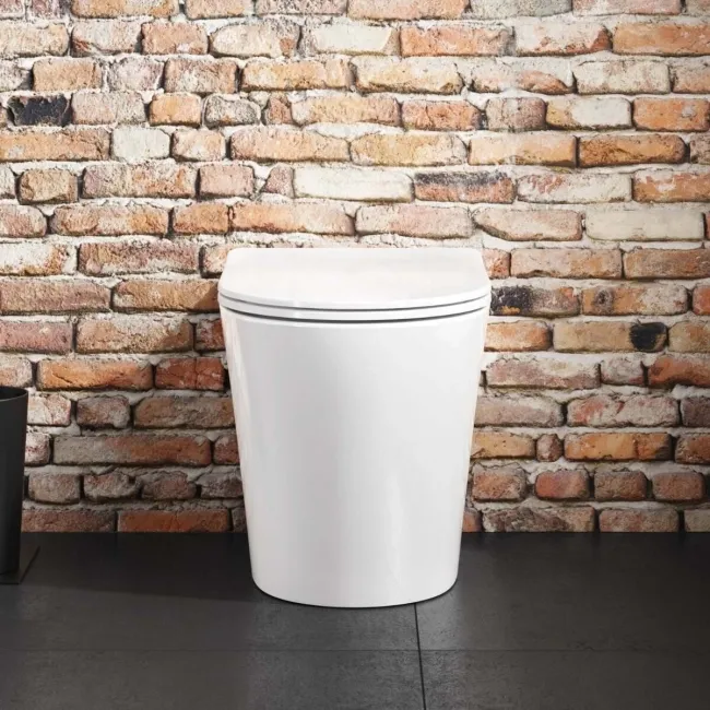 Boston Rimless Back To Wall Toilet With Premium Soft Close Slim Seat
