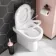 Denver Soft Close Seat for Comfort Height Back To Wall Toilet