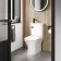 Matt Black Cistern Flush Button for Loma & Brooklyn Combined 2-In-1 Wash Basin + Toilet