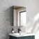 Esme Matt Black Recessed Mirror Cabinet 600x450mm