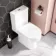 Denver Close Coupled Toilet & Pedestal Basin Set
