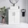 Mersey Gloss White Vanity with Troy Basin 600mm - Black Accents