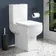Portland Comfort Height Close Coupled Toilet With Soft Close Seat