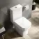 Chicago Quick Release Premium Soft Close Toilet Seat