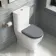 Kansas Traditional Rimless Close Coupled Toilet With Dove Grey Wooden Seat - Brushed Brass Hinges