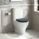 Kansas Traditional Rimless Close Coupled Toilet With Inky Blue Wooden Seat