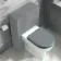Kansas Traditional Rimless Back To Wall Toilet With Dove Grey Wooden Seat