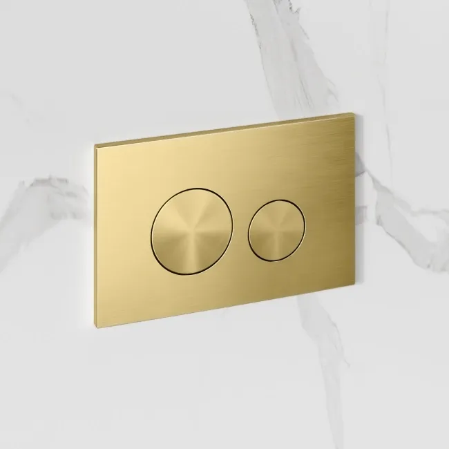 Idaho Pneumatic Top & Front Compact Wall Hung Toilet Frame and Concealed Cistern with Brushed Brass Flush Plate - Round Buttons