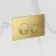 Idaho Pneumatic Wall Hung Toilet Frame and Concealed Cistern with Brushed Brass Flush Plate - Round Buttons
