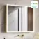 Margot Brushed Brass Illuminated LED Mirror Cabinet 700x800mm