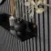 Trepanel Customise® Black Shelf 759mm inc Brass Screws