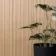 Trepanel Flex® Oak Flexible Acoustic Wood Panels 1200x600
