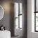 Elena tall Stainless Steel Mirror Cabinet 1200x300mm