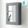Dove Grey Mirror Cabinet 700x500mm - Brushed Brass Accents