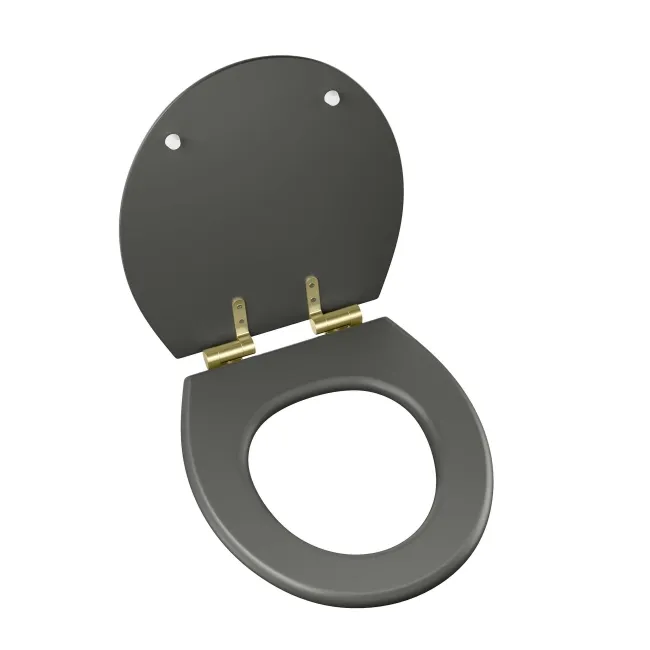 Hudson Traditional Graphite Grey Wooden Soft Close Seat with Brushed Brass Hinges